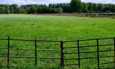 Alles wat je moet weten over het plaatsen en kiezen van een schutting voor je tuin