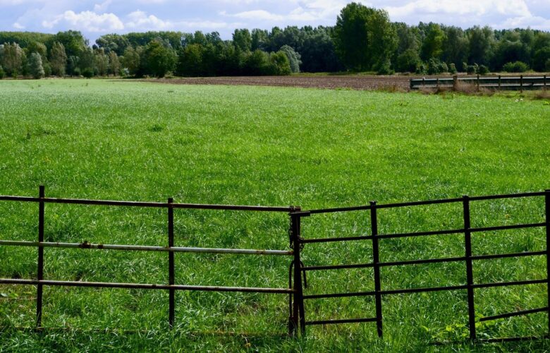 Alles wat je moet weten over het plaatsen en kiezen van een schutting voor je tuin